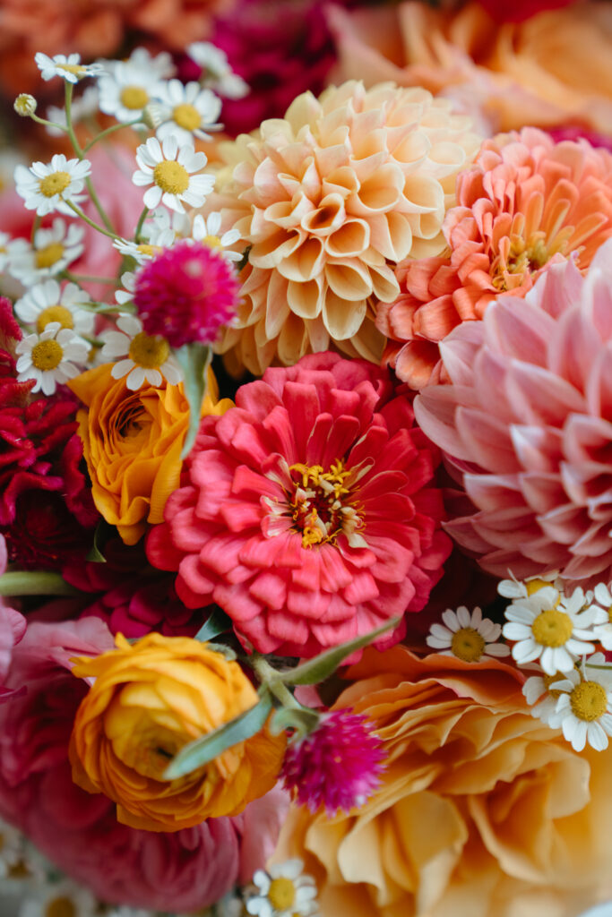 close up of brides bouquet of pink zinnias, peach dahlias, bright yellow ranunculus, and white chamomile flowers