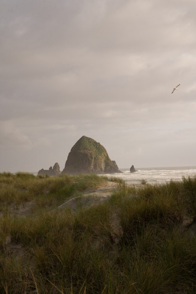 Haystack Rock at sunset during an Oregon Coast elopement, with tall grass and soft skies.