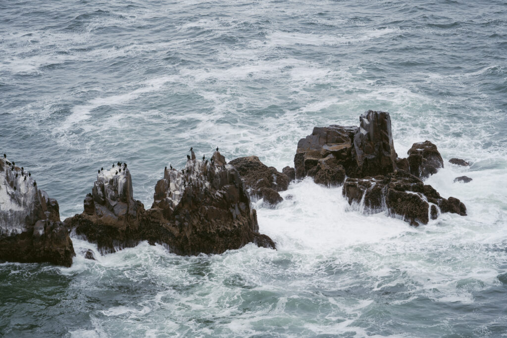 Jagged coastal rocks rise from the churning ocean, with seabirds perched along the edges as waves crash below.