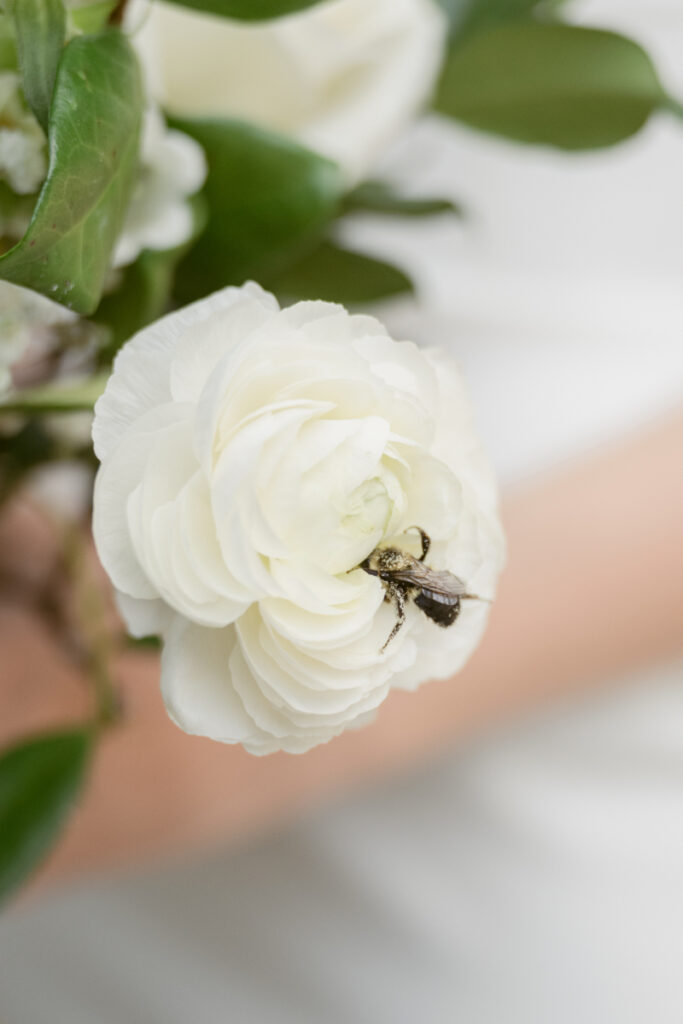 Close-up of a white flower with a bee resting on it during a Downtown Cincinnati Wedding.