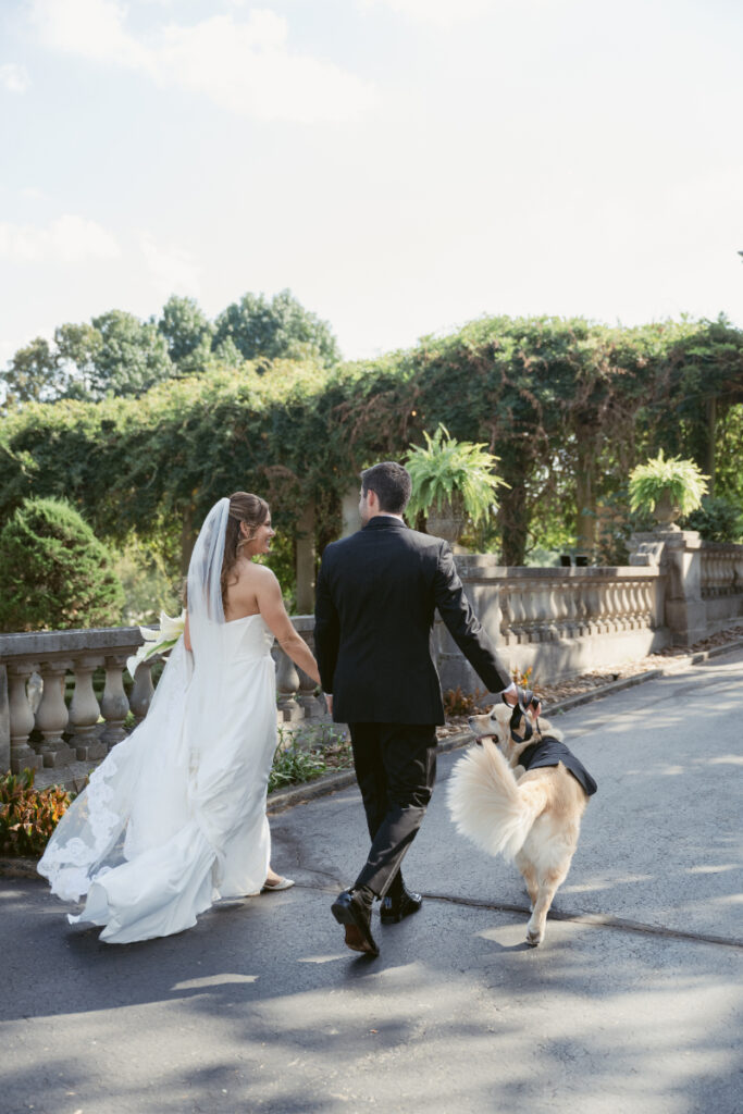 Bride and groom walk hand in hand with their dog in a tux at their Laurel Court wedding.
