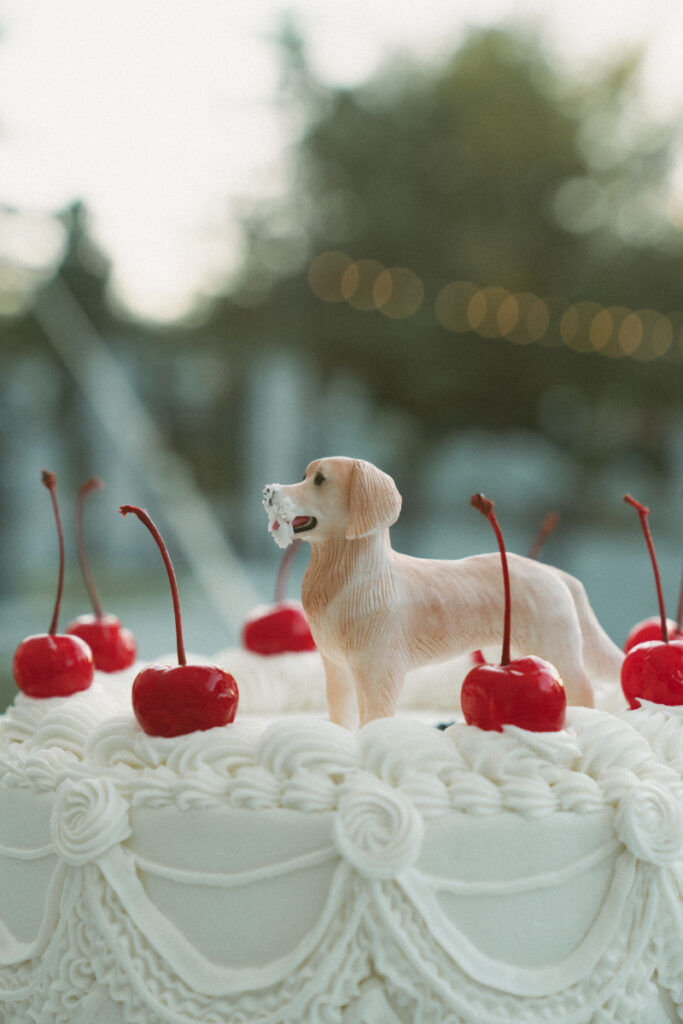 a white cake with cherries on in a dog figurine cake topper