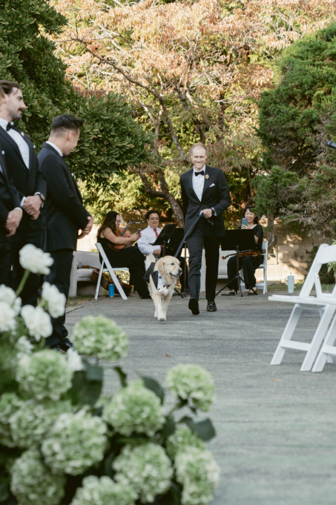 Groomsman walks golden retriever down wedding ceremony aisle lined with white chairs and lush florals.