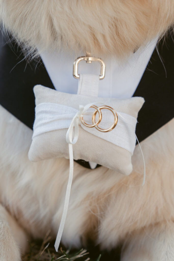 Wedding rings tied to a pillow on the dog ring bearer’s collar at a Laurel Court wedding.
