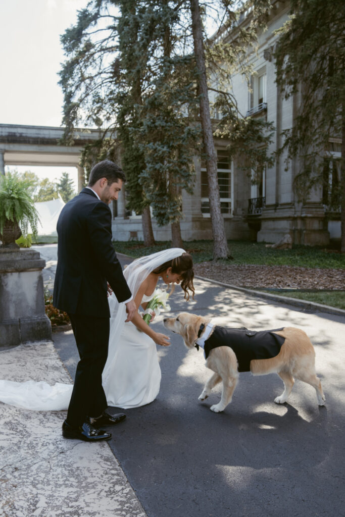 Bride and groom greet their dog dressed in tuxedo at romantic Laurel Court wedding venue in Cincinnati.