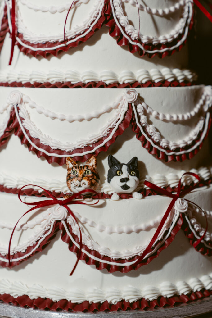 Close up of wedding cake with hand painted cats and red trim.